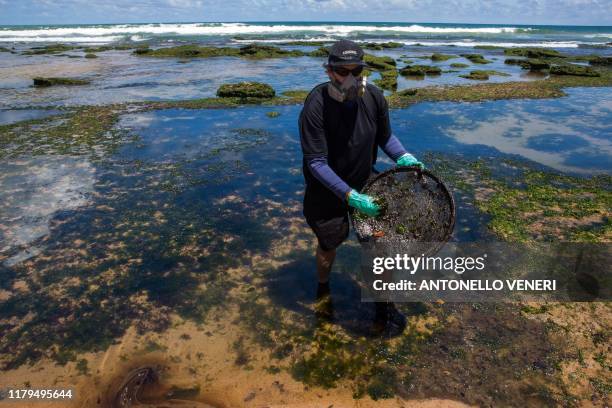 Volunteer cleans oil at a beach in Lauro de Freitas, Bahia state, Brazil, on November 2, 2019. - The beaches of Buraco da Velho and Ipitanga, in the...