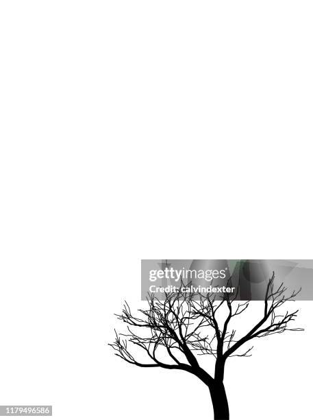 tree silhouette in black and white - dead forest stock illustrations