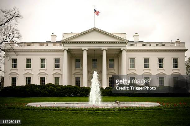 white haus - white house dc stock-fotos und bilder