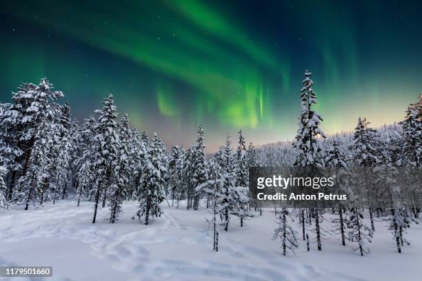 winter forest at at night under the northern lights. finland - finland landscape stock pictures, royalty-free photos & images