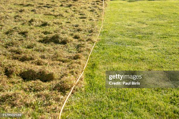 lawn scarification and aeration treatment. lawn after scarification. gardening - grasveld stockfoto's en -beelden