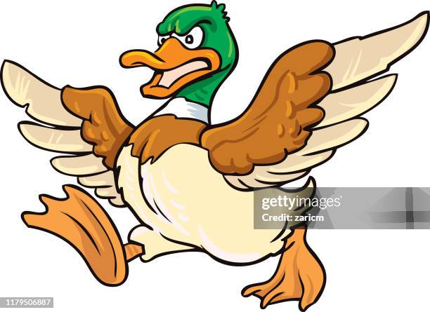 388 Duck Cartoon Characters Photos and Premium High Res Pictures - Getty Images 388 Duck Cartoon Characters Photos and Premium High Res Pictures - Getty Images