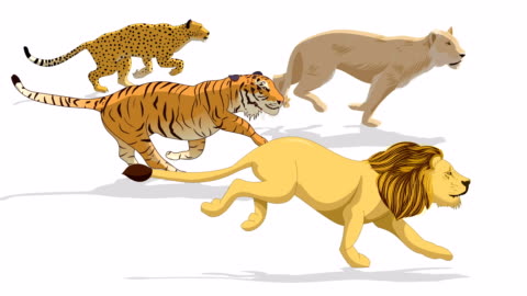 Black Panther Animal Run Cycle Animation High-Res Stock Video Footage - Getty Images Black Panther Animal Run Cycle Animation High-Res Stock Video Footage - Getty Images