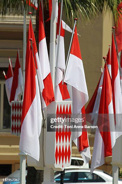 View of Monaco Flag before the Wedding on June 10, 2011 in Monaco, Monaco.