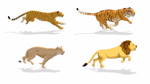 Black Panther Animal Run Cycle Animation High-Res Stock Video Footage - Getty Images Black Panther Animal Run Cycle Animation High-Res Stock Video Footage - Getty Images
