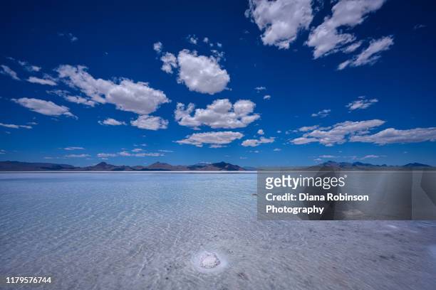 water on the usually bone dry bonneville salt flats in northwestern utah - great salt lake stock pictures, royalty-free photos & images