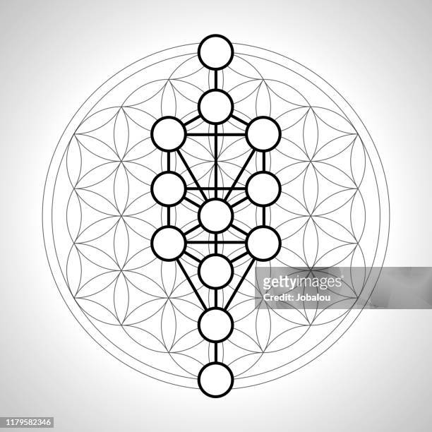 esoteric geometric flower of life with sephirotic tree - torah stock illustrations