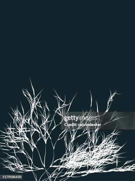 tree silhouette background design - dead tree isolated stock illustrations