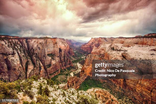 observation point, zion park - parque nacional zion fotografías e imágenes de stock