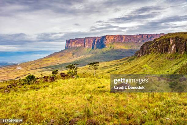 mount roraima venezuela - venezuela roraima stock pictures, royalty-free photos & images