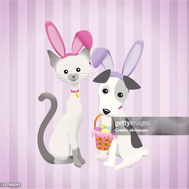illustrazioni stock, clip art, cartoni animati e icone di tendenza di gatto e cane di pasqua amici - gatto siamese