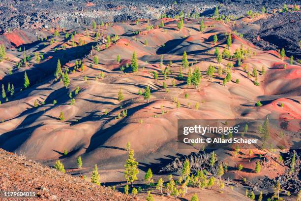 painted dunes in lassen volcanic national park - californië 個照片及圖片檔