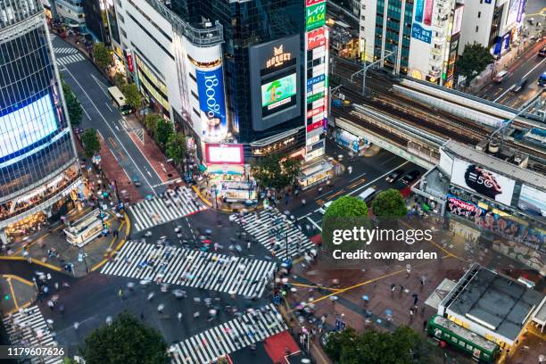 aerial view of rainy night at shibuya crossing - shibuya station stock pictures, royalty-free photos & images