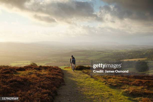 lone male mountain biking on an autumn evening. - mountain biking uk stock pictures, royalty-free photos & images