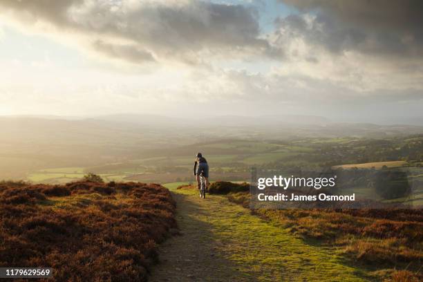 lone male mountain biking on an autumn evening. - england landscape stock pictures, royalty-free photos & images