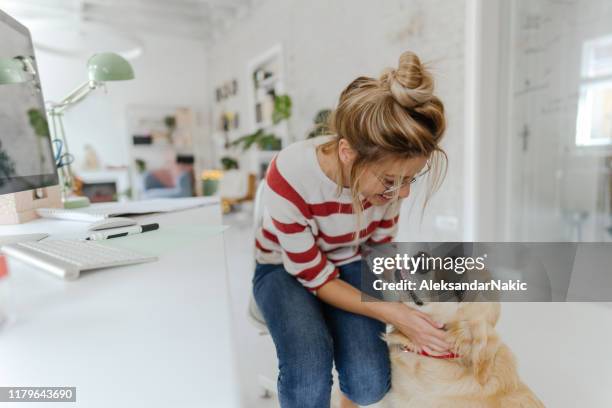 having a company while working from home office - office dog stock pictures, royalty-free photos & images