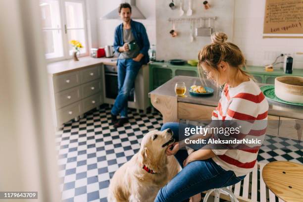 mattina in cucina con il nostro cane - routine foto e immagini stock