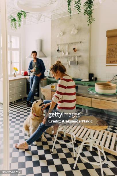 morning in the kitchen with our dog - family with pet stock pictures, royalty-free photos & images