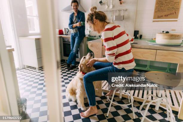 morning in the kitchen with our dog - happy couple kitchen stock pictures, royalty-free photos & images