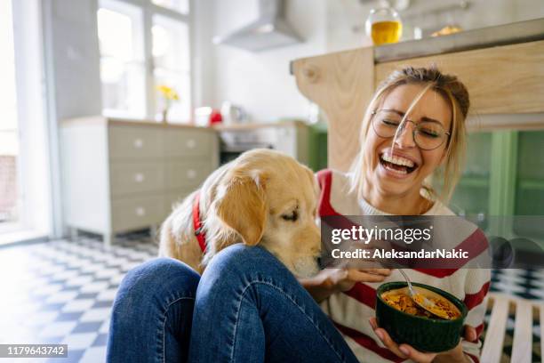 mattina con il mio animale domestico nella nostra cucina - animale domestico foto e immagini stock