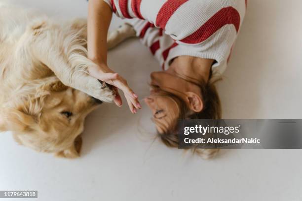 high five - dog high five stock pictures, royalty-free photos & images