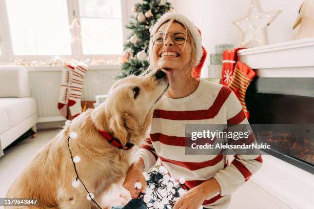 gemeinsam zu weihnachten - hund mensch stock-fotos und bilder