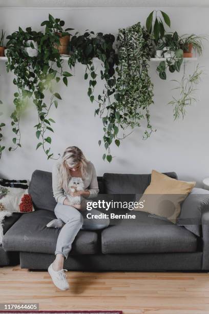 young woman sitting in living-room holding kitten - plante tropicale photos et images de collection