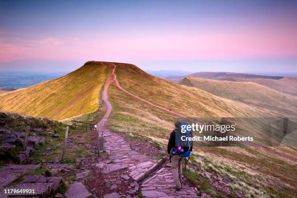 hiker walking towards pen y fan and cribyn seen from corn du in the brecon beacons, wales. - brecon beacons national park stock pictures, royalty-free photos & images