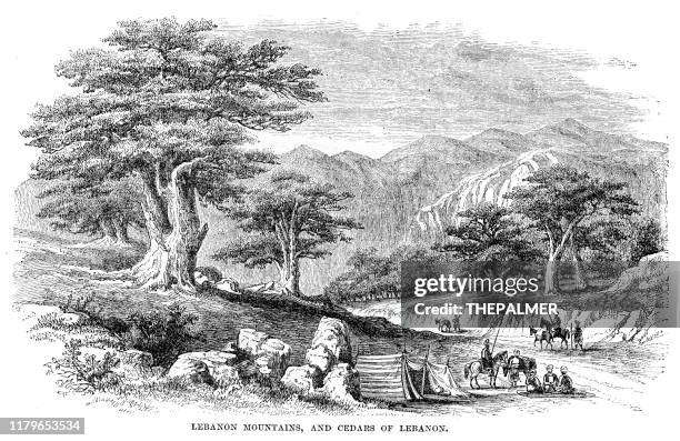 lebanon mountains engraving 1868 - cedar tree stock illustrations