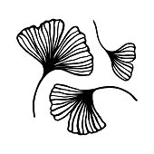 Set of Ginkgo biloba leaf hand drawn contour line. Vector Floral art in a Trendy Minimalist Style.