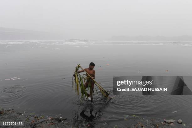 Youth removes sugar cane offerings of Hindu devotees from the Yamuna River following Chhat Puja Festival celebrations amidst heavy smog conditions,...