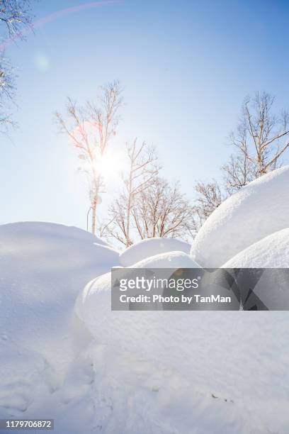 winter in niseko, japan. - cottage ストックフォトと画像