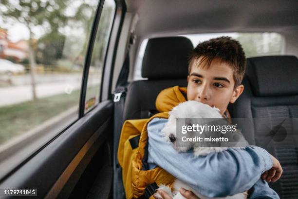 boy holding his pet dog in arms while traveling in car - child holding toy dog stock pictures, royalty-free photos & images