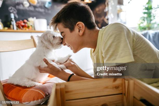 snuggling with his pet dog - child holding toy dog stock pictures, royalty-free photos & images