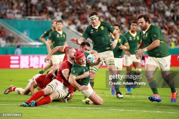 Schalk Brits of South Africa scores his team's eighth try during the Rugby World Cup 2019 Group B game between South Africa and Canada at Kobe Misaki...