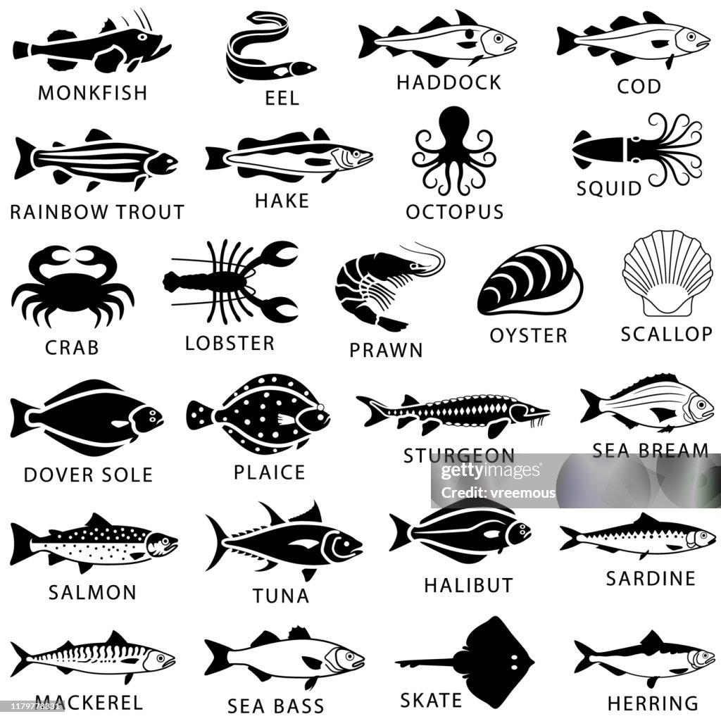 Ícones do marisco, dos peixes e do marisco