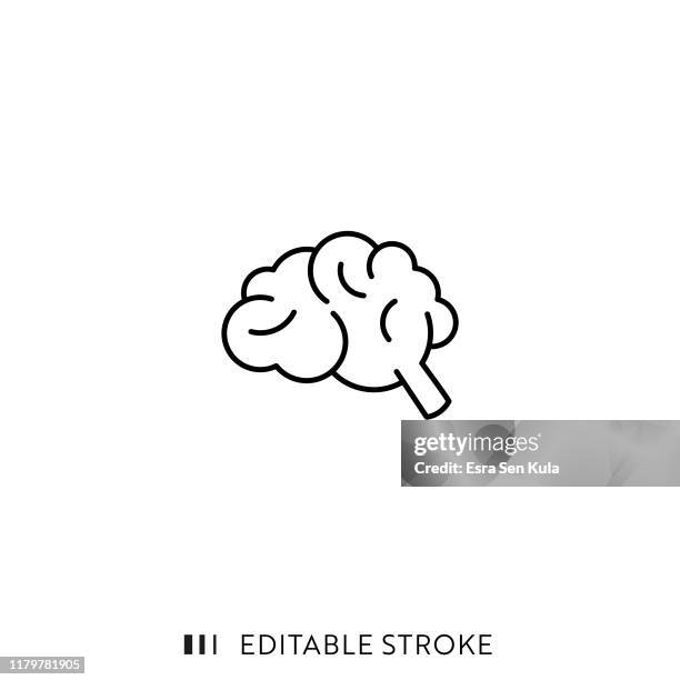 brain icon with editable stroke and pixel perfect. - functional magnetic resonance imaging brain stock illustrations