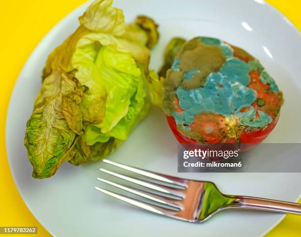 Processed Food Rot 23,461 Food Decomposition Stock Photos, High-Res Pictures, and Images ...