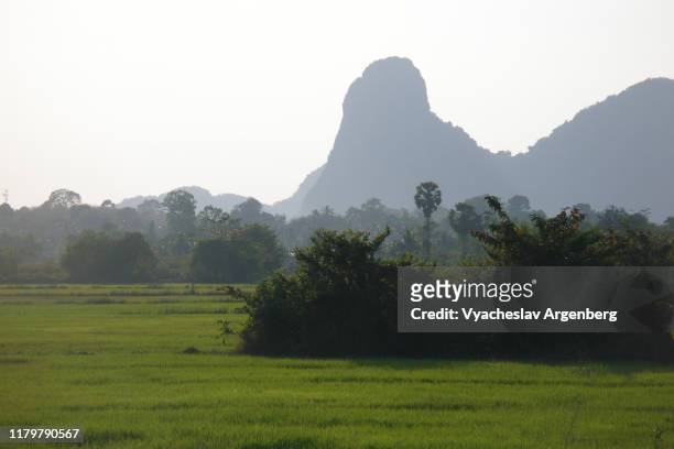 rural landscape with forest and limestone rock formations in remote phatthalung province, thailand - phatthalung province stock-fotos und bilder