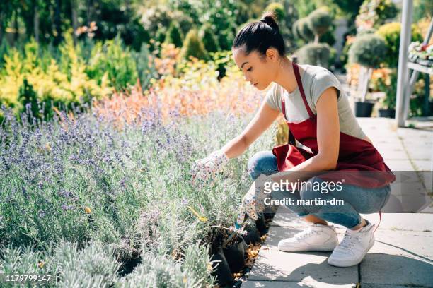 jonge vrouw die in de tuin werkt - siertuin stockfoto's en -beelden