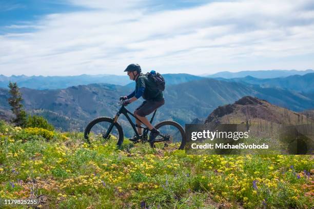 a senior mountain biker riding osberg ridgeline trail - sun valley idaho stock pictures, royalty-free photos & images