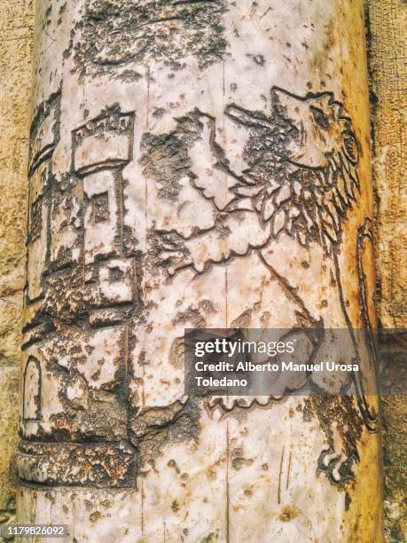 lion and castle. castilla's coat of arms - lion rampant stock pictures, royalty-free photos & images