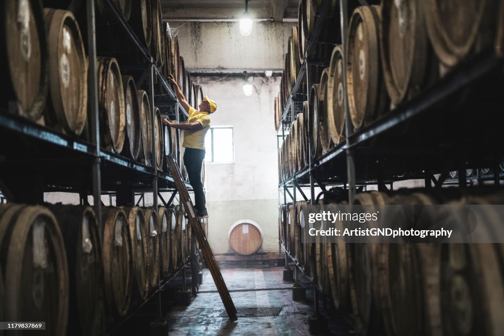 Examining barrel in distillery