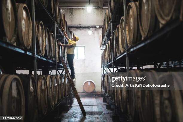 examining barrel in distillery - destilação imagens e fotografias de stock