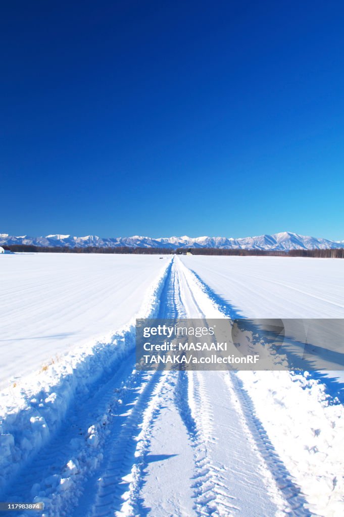 Track in Snow