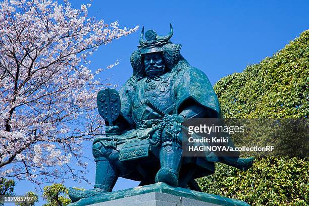 statue of shingen takeda - kofu stockfoto's en -beelden