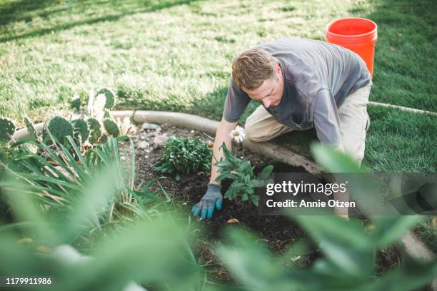 man working in garage - garden work stock-fotos und bilder