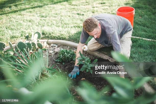 man working in garage - landscaped stock pictures, royalty-free photos & images