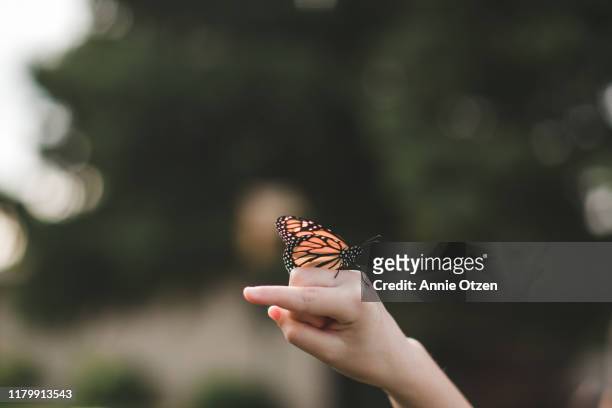 monarch butterfly on hand - butterfly hand imagens e fotografias de stock