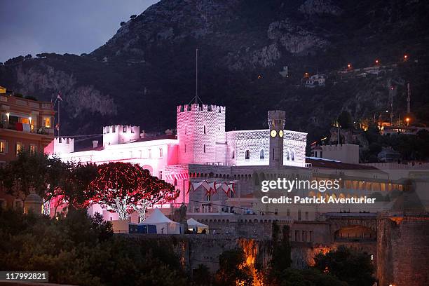 General view of atmosphere at the official dinner and firework celebrations for the Royal Wedding of Prince Albert II of Monaco to Charlene Wittstock...